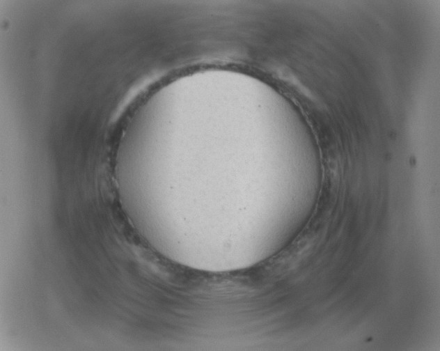 X0000079321256200612081925