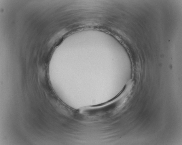 X0000079321257200612081925