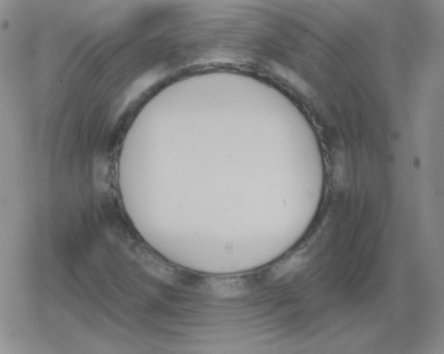 X0000079321258200612081925