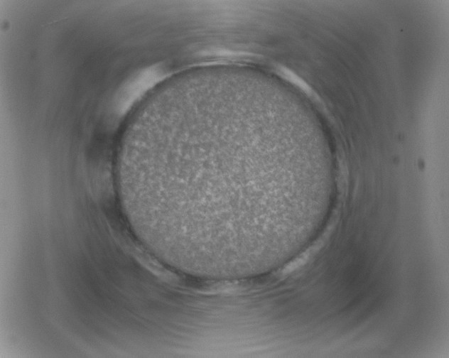 X0000079321259200612081925