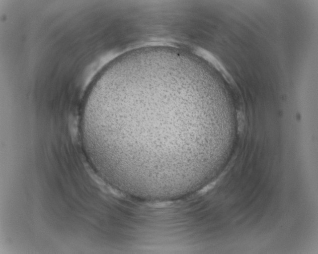 X0000079321260200612081925