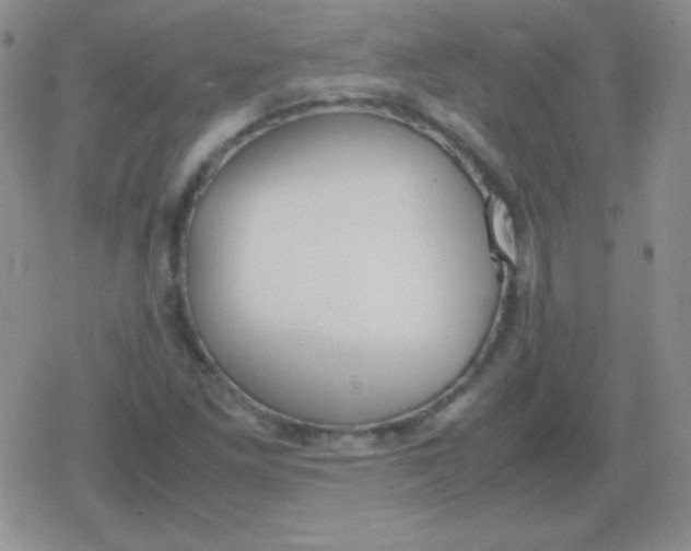 X0000079321261200612081925