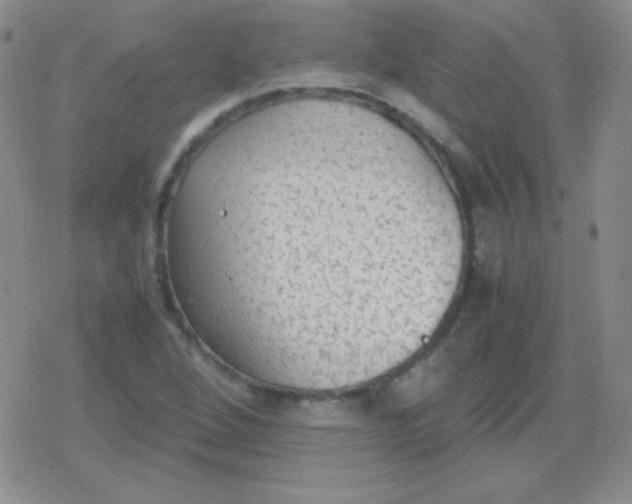 X0000079321264200612081925