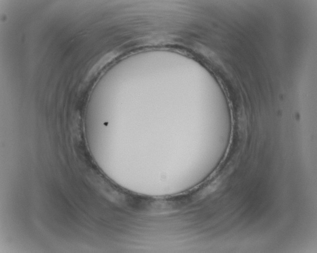 X0000079321265200612081925