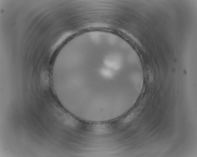 X0000079321266200612081925