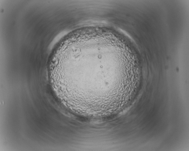 X0000079321267200612081925