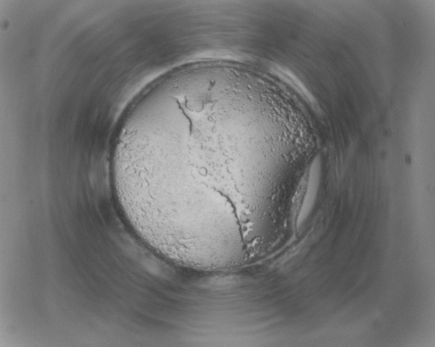 X0000079321268200612081925