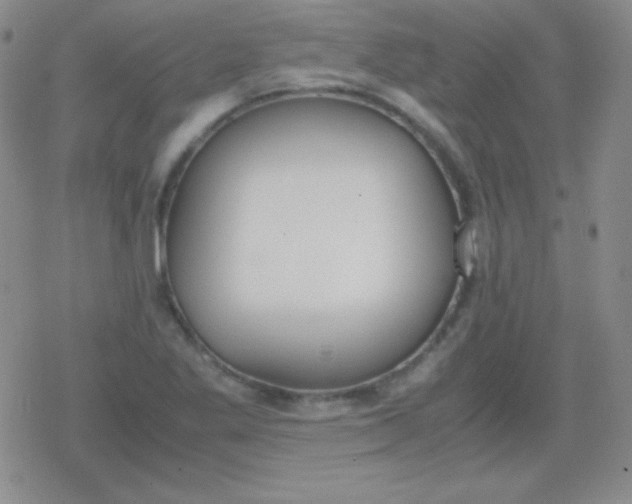 X0000079321269200612081925