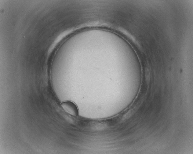 X0000079321270200612081925