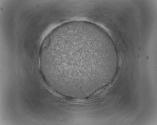 X0000079321271200612081925