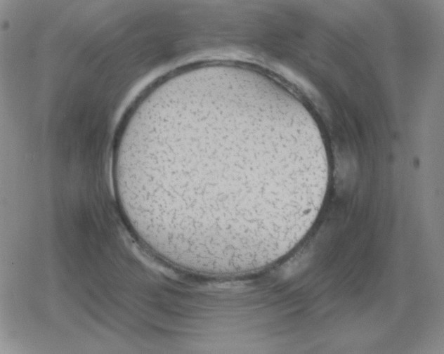 X0000079321272200612081925