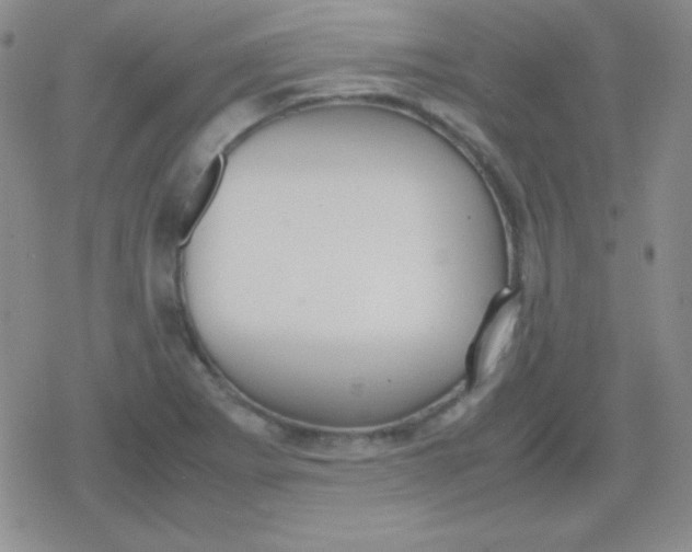 X0000079321273200612081925