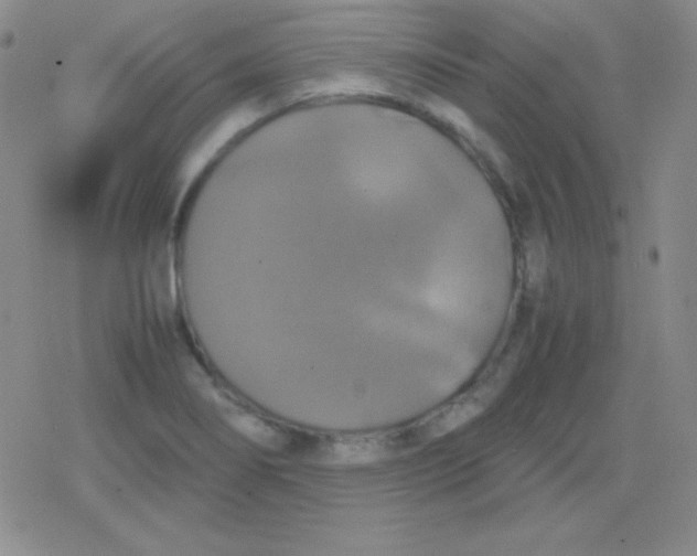 X0000079321274200612081925