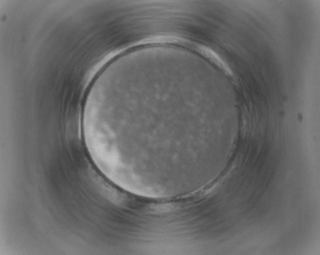 X0000079321276200612081925