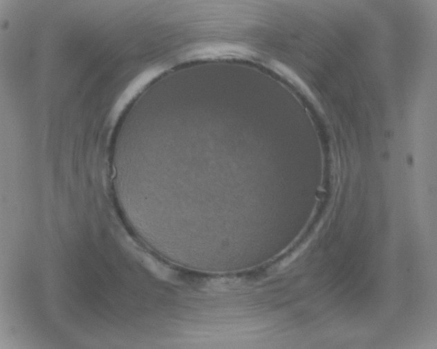 X0000079321277200612081925