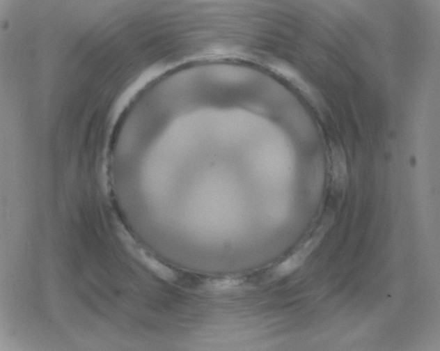 X0000079321278200612081925