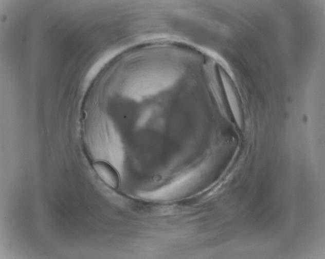 X0000079321279200612081925