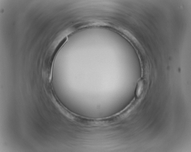 X0000079321281200612081925