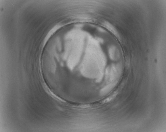 X0000079321283200612081925