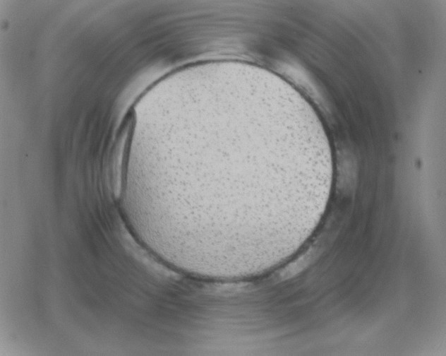 X0000079321284200612081925