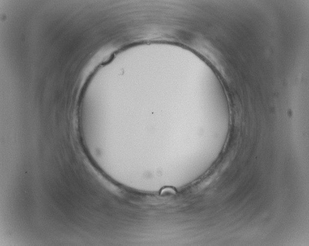 X0000079321285200612081925