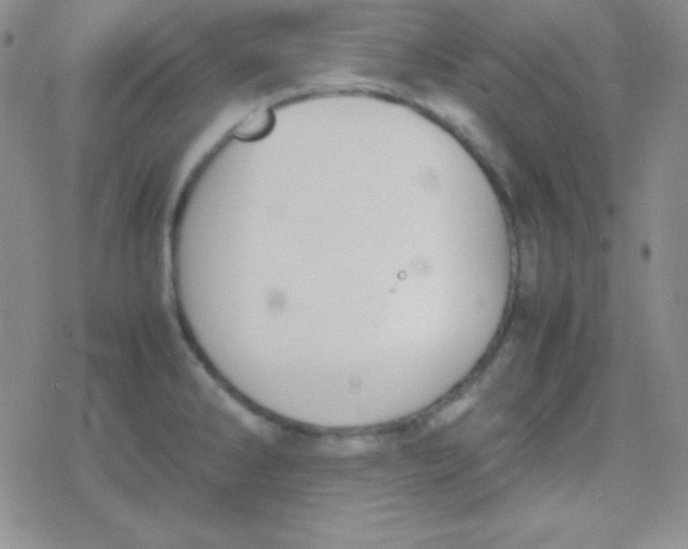 X0000079321286200612081925