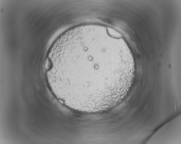 X0000079321287200612081925