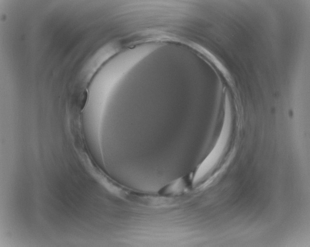 X0000079321289200612081925