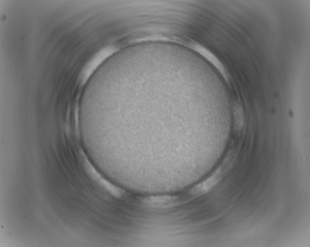 X0000079321290200612081925