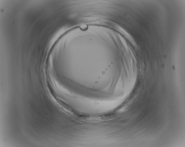 X0000079321291200612081925