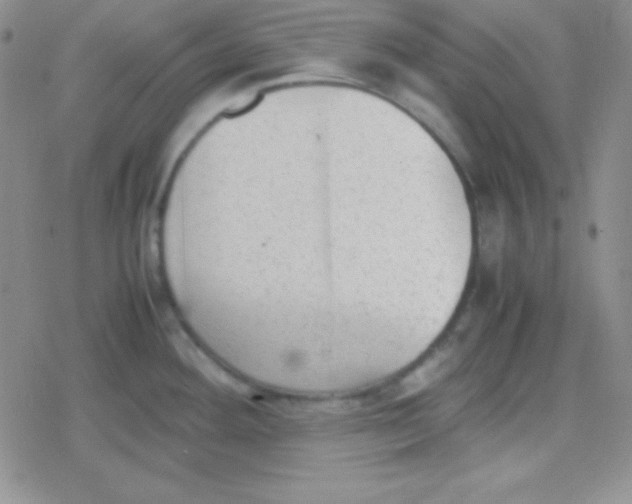 X0000079321292200612081925