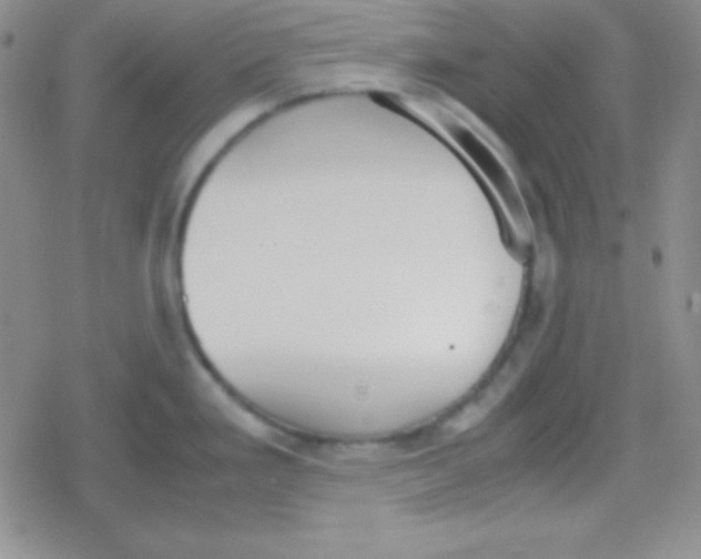 X0000079321293200612081925