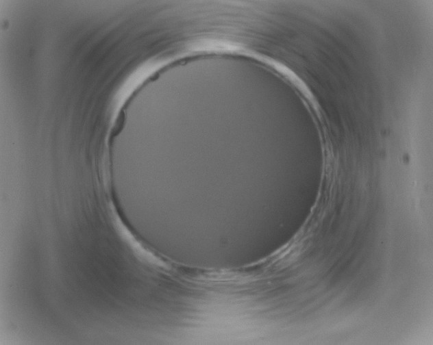 X0000079321295200612081925