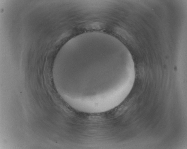 X0000079321297200612081924