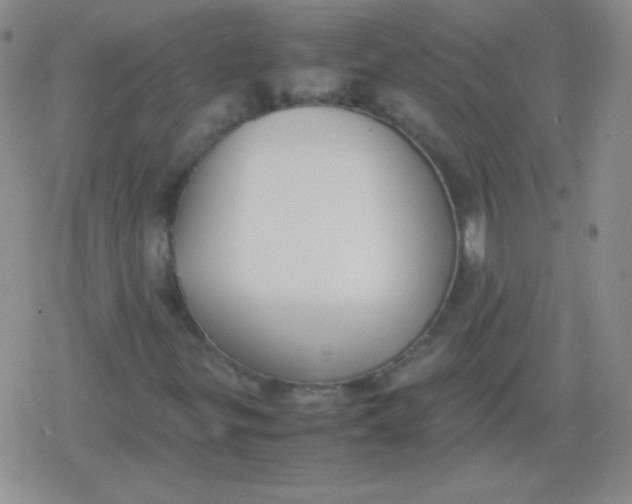 X0000079321299200612081924