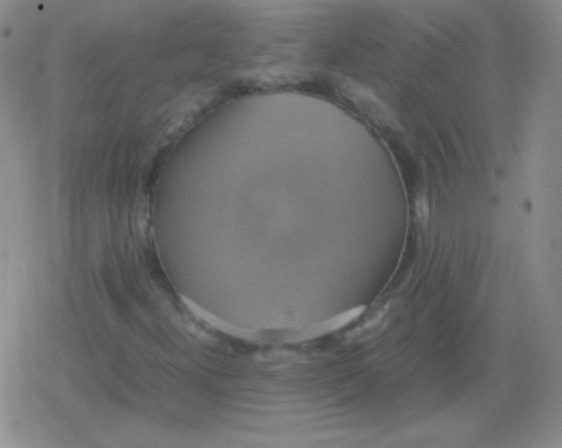 X0000079321300200612081924