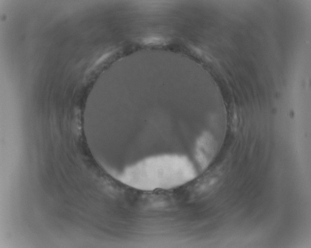 X0000079321301200612081924