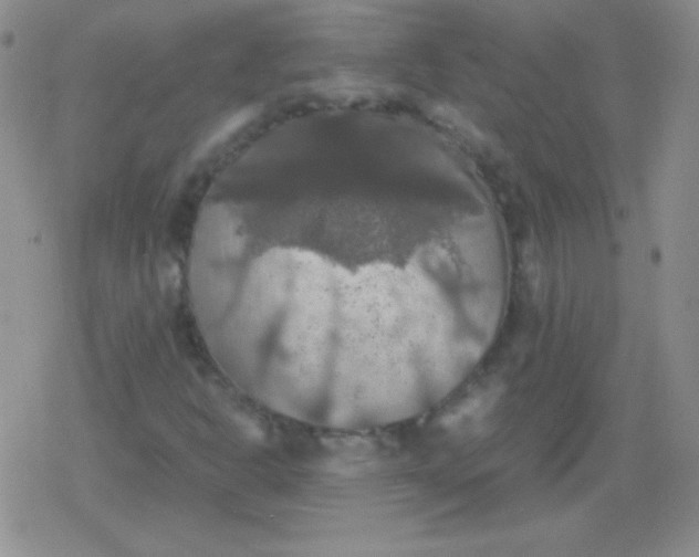 X0000079321302200612081924