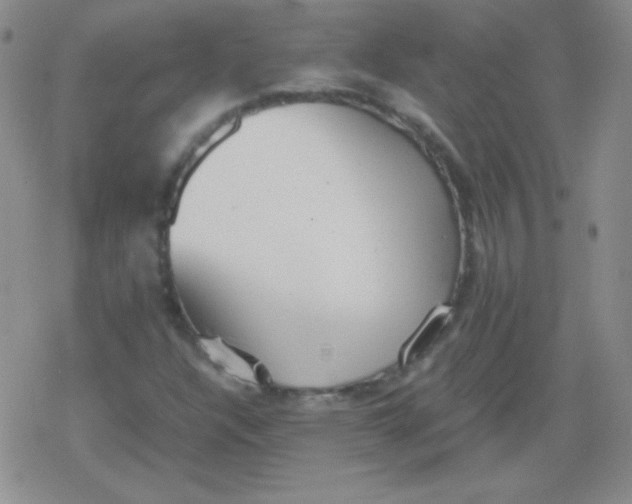 X0000079321304200612081924