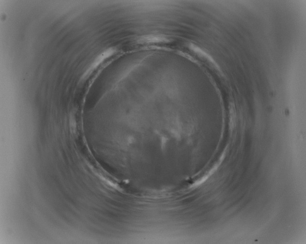 X0000079321305200612081924