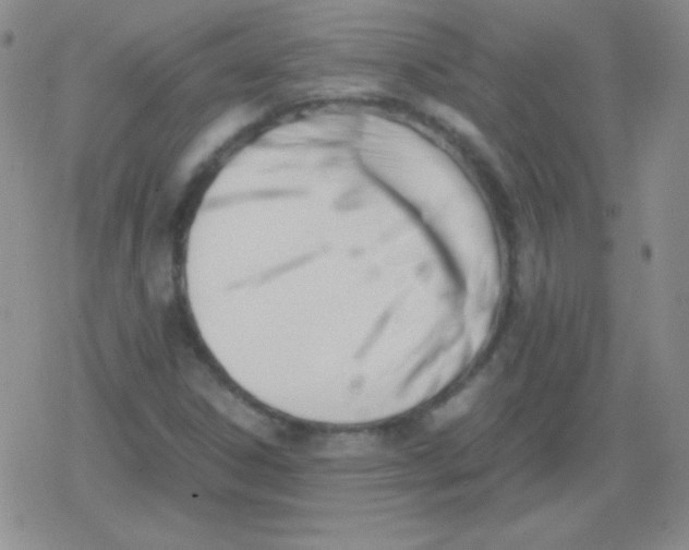 X0000079321306200612081924