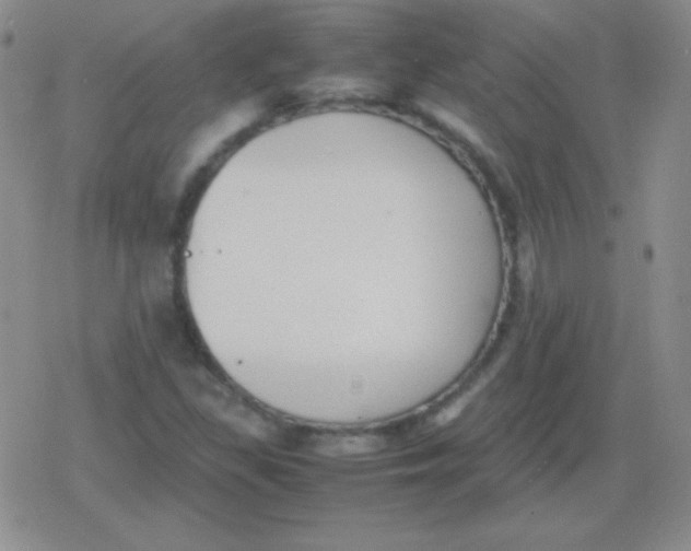 X0000079321309200612081924