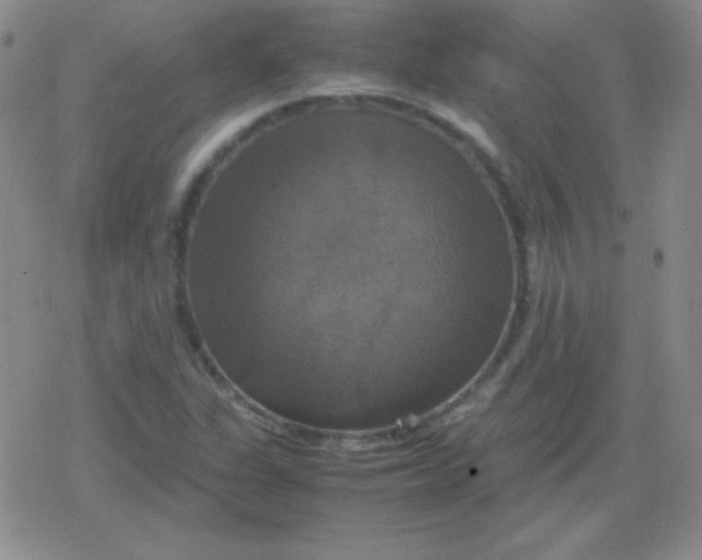 X0000079321311200612081924