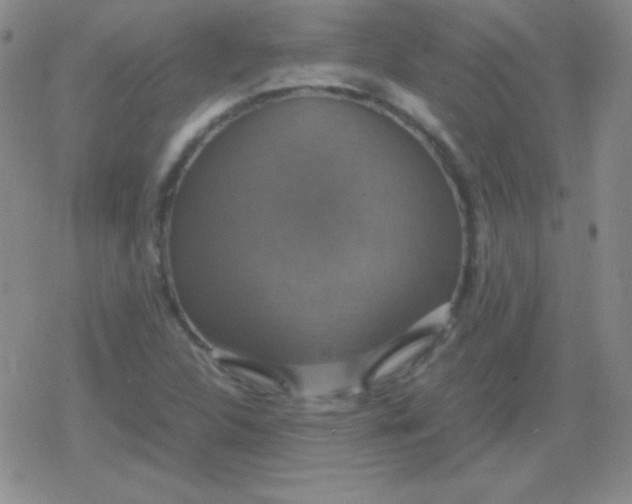 X0000079321312200612081924