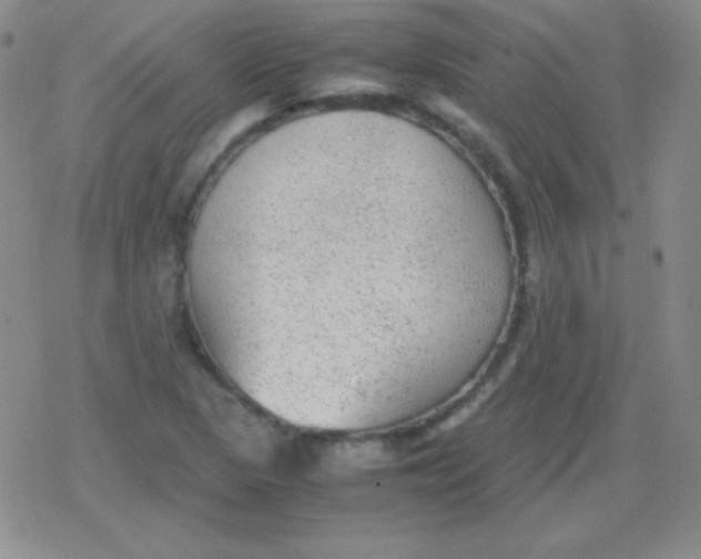 X0000079321313200612081924