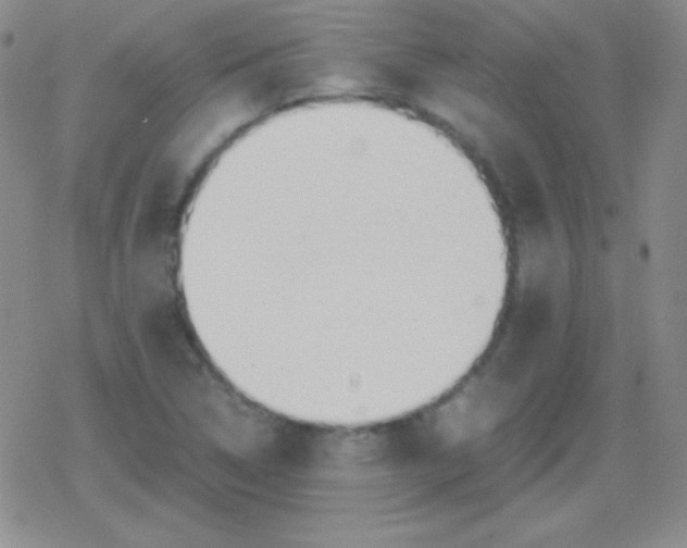 X0000079321314200612081924