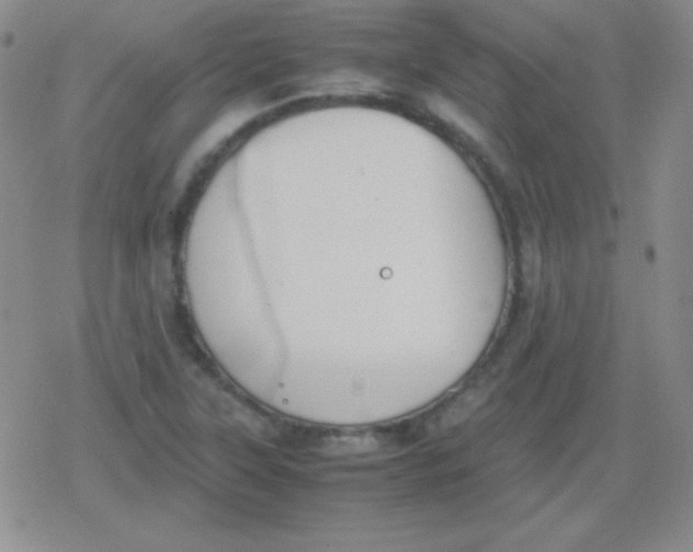 X0000079321315200612081924