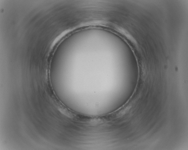 X0000079321316200612081924