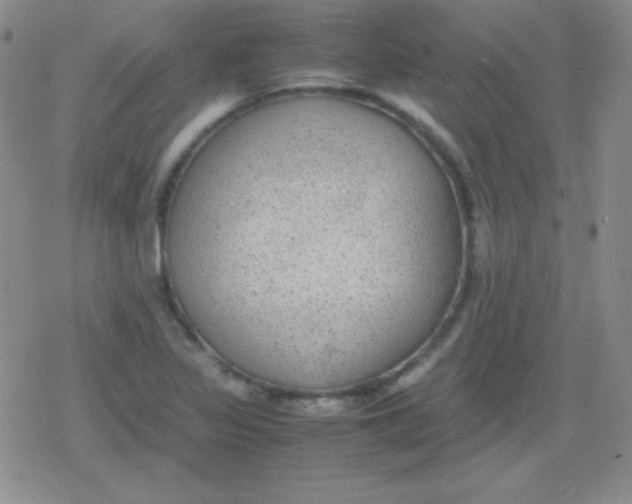 X0000079321317200612081924