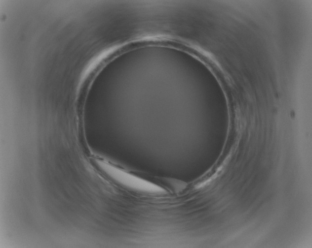 X0000079321319200612081924